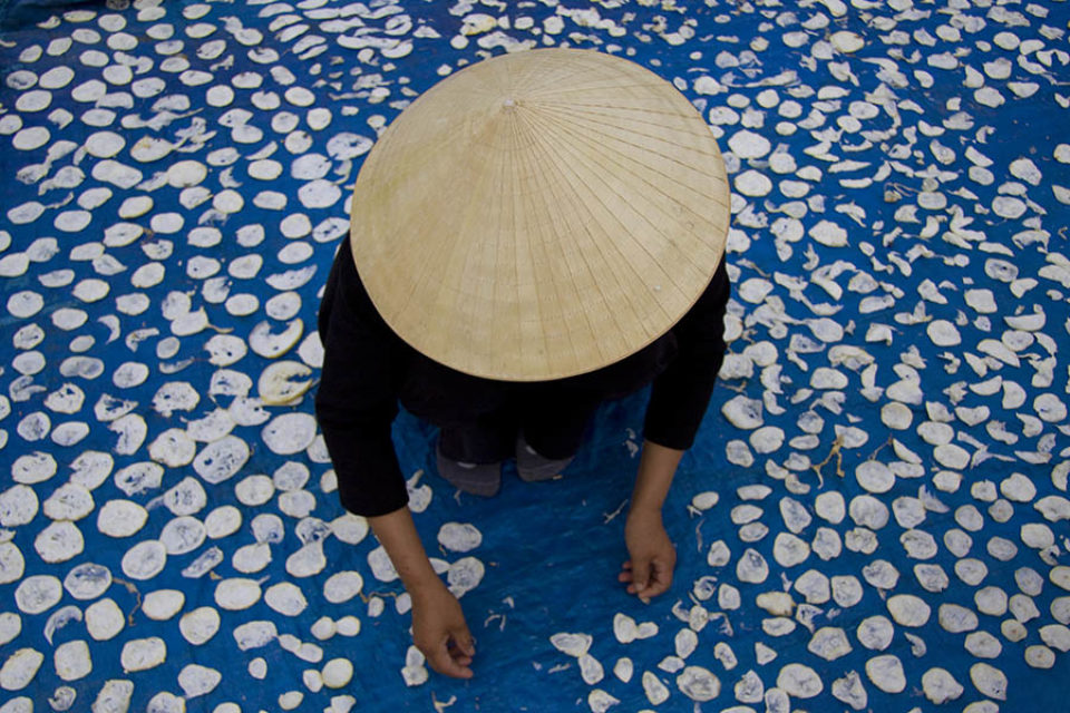 Woman drying cassava, Quang Binh, Vietnam