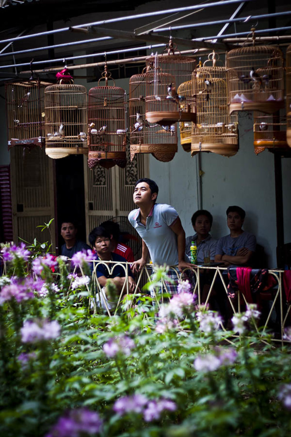Man looking at a caged bird