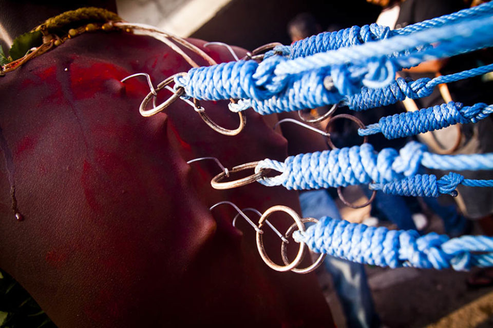 Kavadi hooks pull at the flesh of a celebrant's back