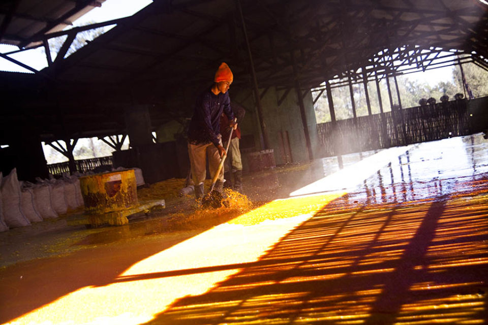 Molten sulphur being hardened
