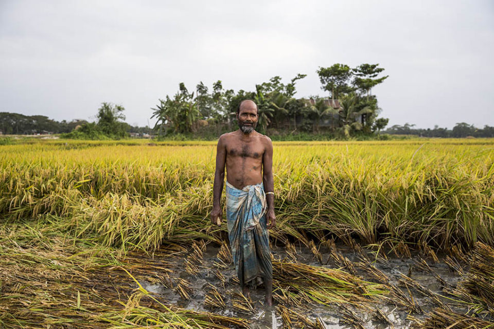 Rice paddy farmer, Bangladesh, by trusted professional editorial portrait photographer in Montreal