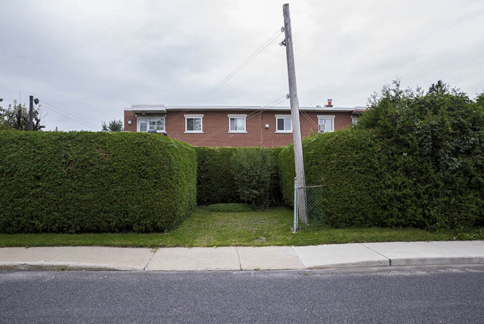 Empty parking spot in hedge