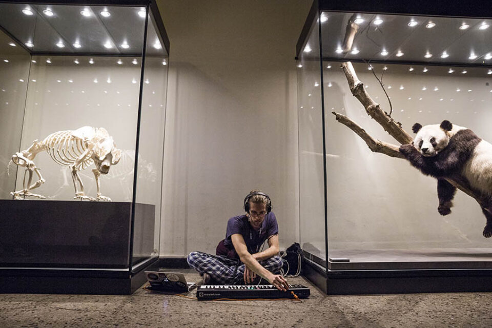 A student making music in the Natural History Museum in Berlin