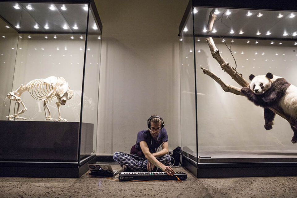 A student making music in the Natural History Museum in Berlin, by Montreal event photographer