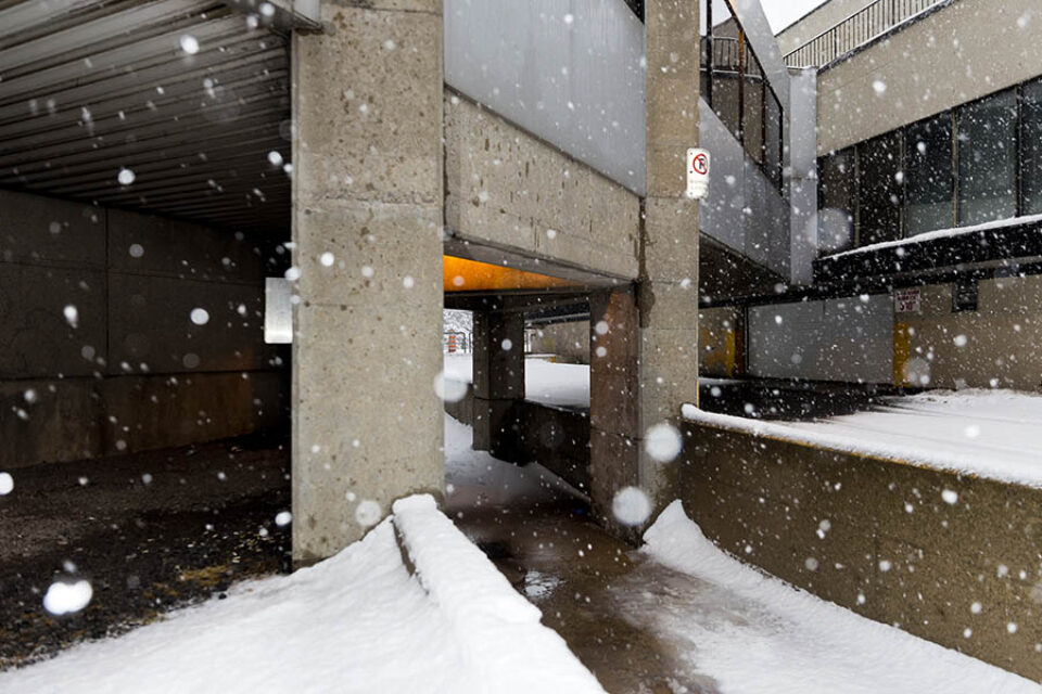 Snow falls around path