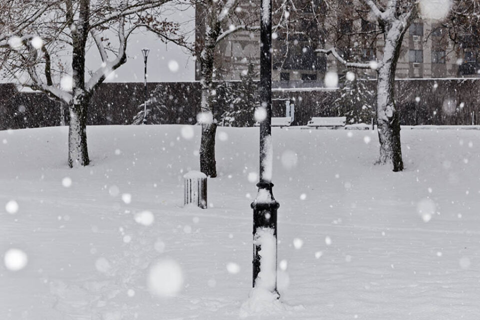 Snow falling near lamppost and trees