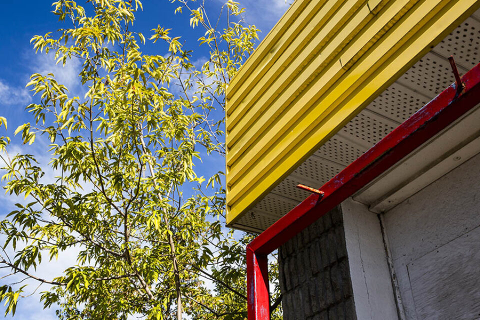 Detail shot of building and tree