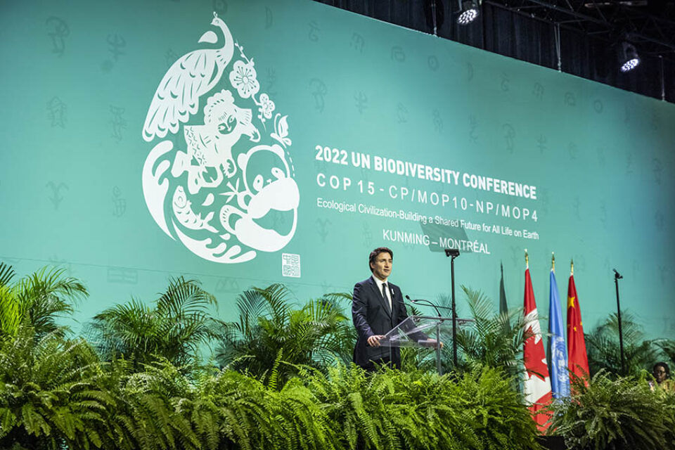 Montreal event photographer shot of PM Justin Trudeau at COP15 Montreal