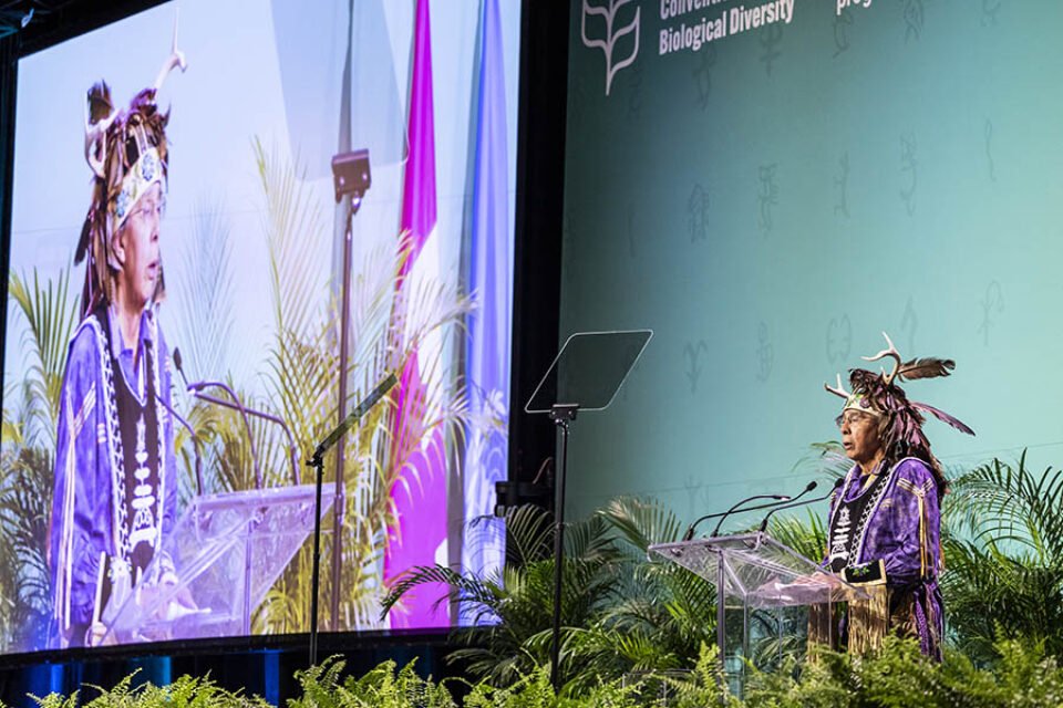 Indigenous speaker at COP15, Montreal event photography