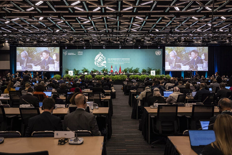 Montreal professional event photographer shot of the Opening Plenary, COP15 Montreal