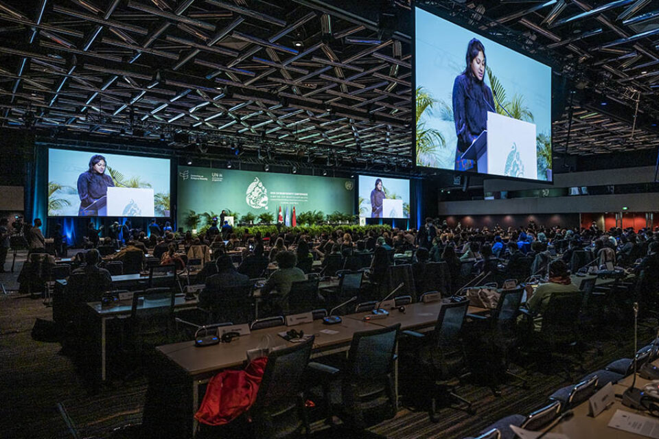 Main plenary session, COP15 Montreal