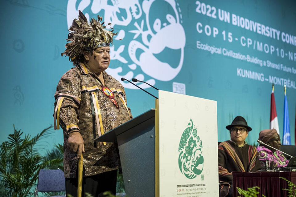 Indigenous presenter at COP15, Montreal event photography