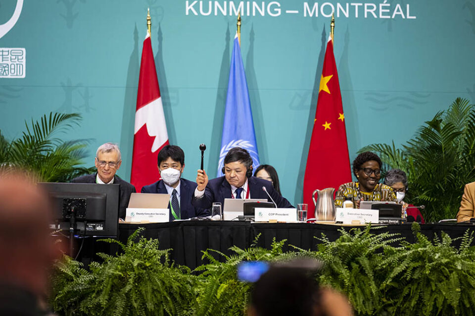 Montreal professional event photographer image of delegates ratifying part of COP15 biodiversity agreement