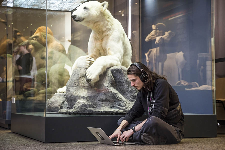 Making music next to a polar bear in the Berlin Natural History Museum