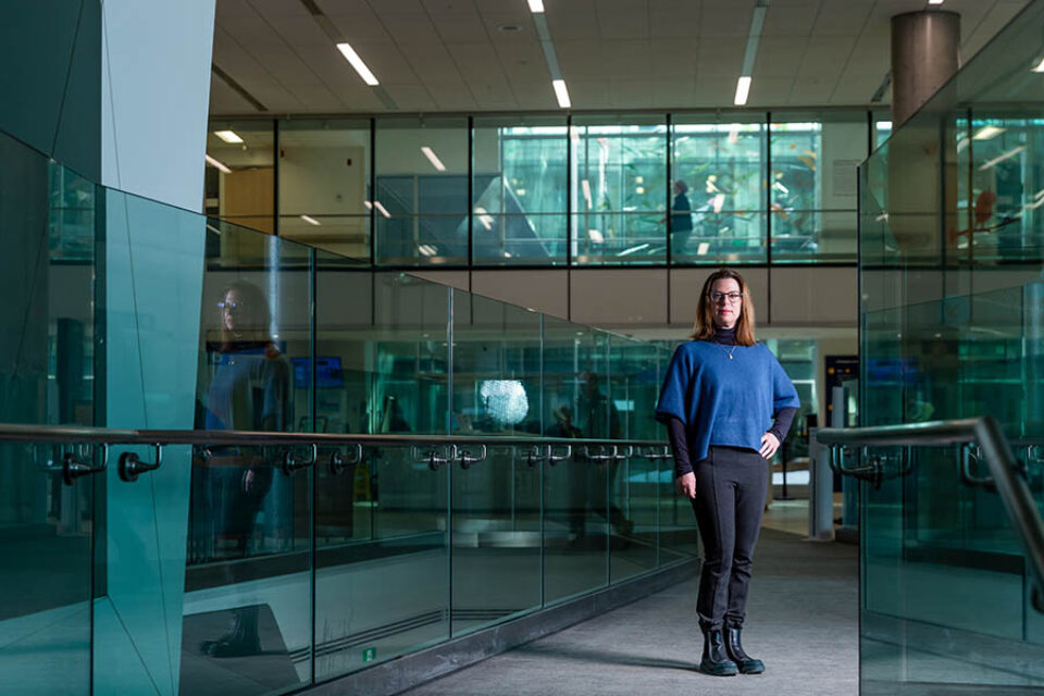 Dr Sarah Lippe editorial portrait, hospital